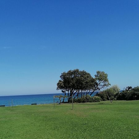 Studio 4 Personnes Bord De Mer Avec Piscine Wifi Cervione Εξωτερικό φωτογραφία