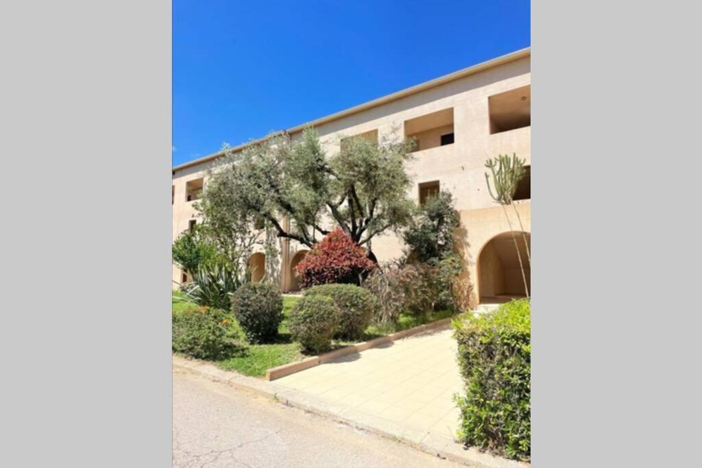 Studio 4 Personnes Bord De Mer Avec Piscine Wifi Cervione Εξωτερικό φωτογραφία