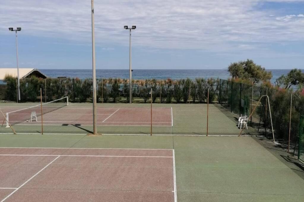 Studio 4 Personnes Bord De Mer Avec Piscine Wifi Cervione Εξωτερικό φωτογραφία