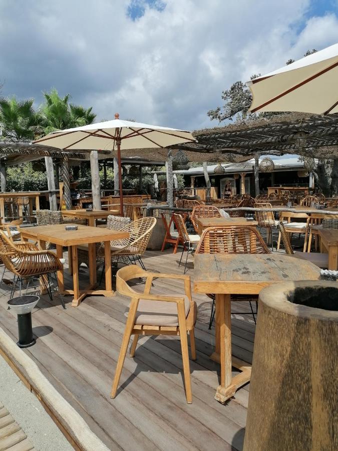 Studio 4 Personnes Bord De Mer Avec Piscine Wifi Cervione Εξωτερικό φωτογραφία