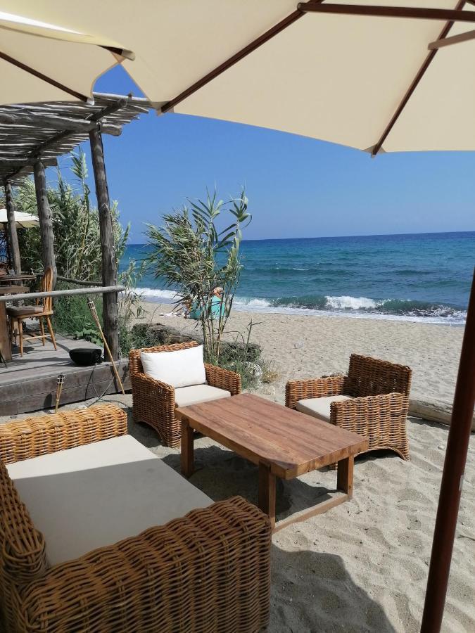 Studio 4 Personnes Bord De Mer Avec Piscine Wifi Cervione Εξωτερικό φωτογραφία