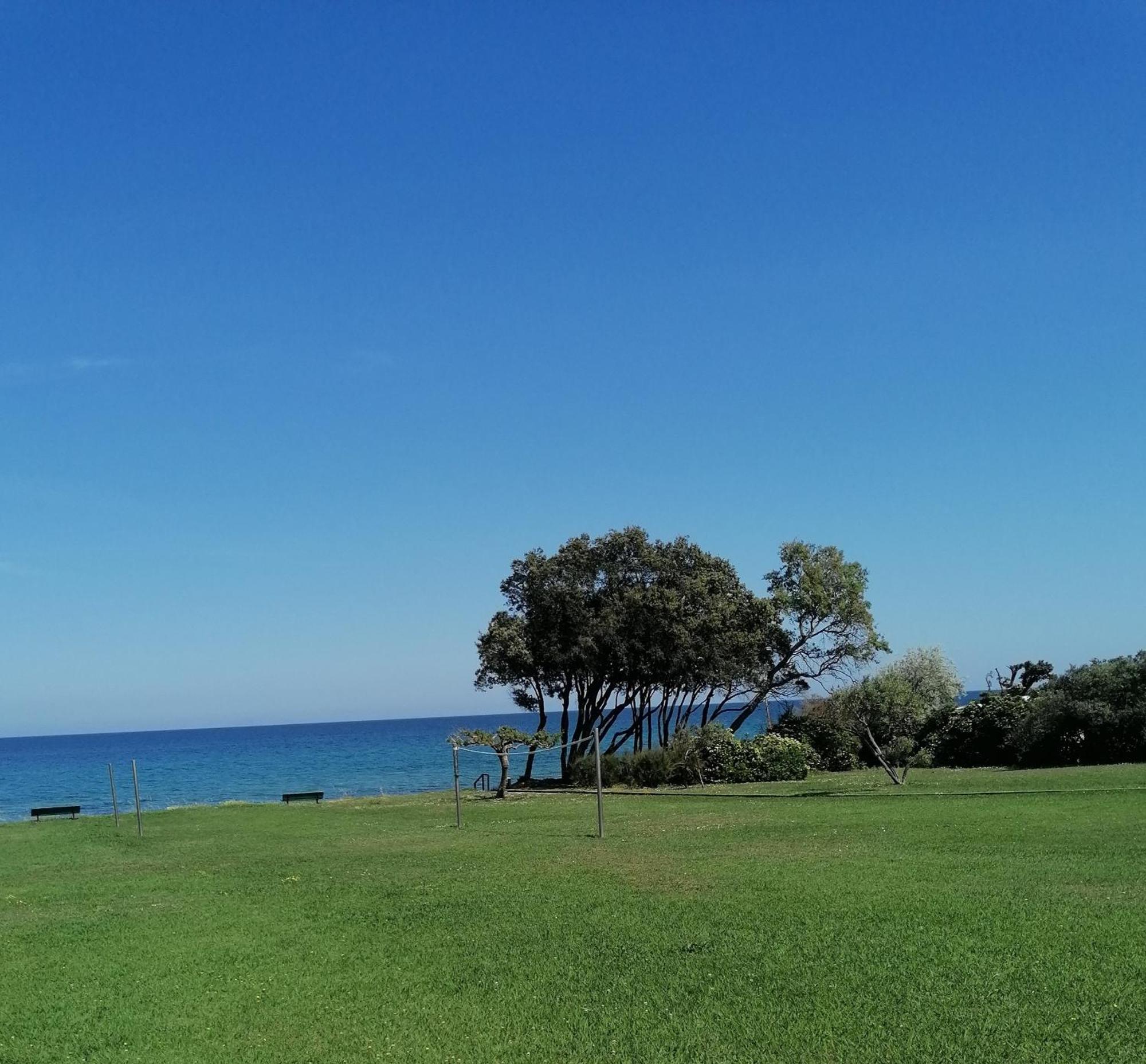 Studio 4 Personnes Bord De Mer Avec Piscine Wifi Cervione Εξωτερικό φωτογραφία