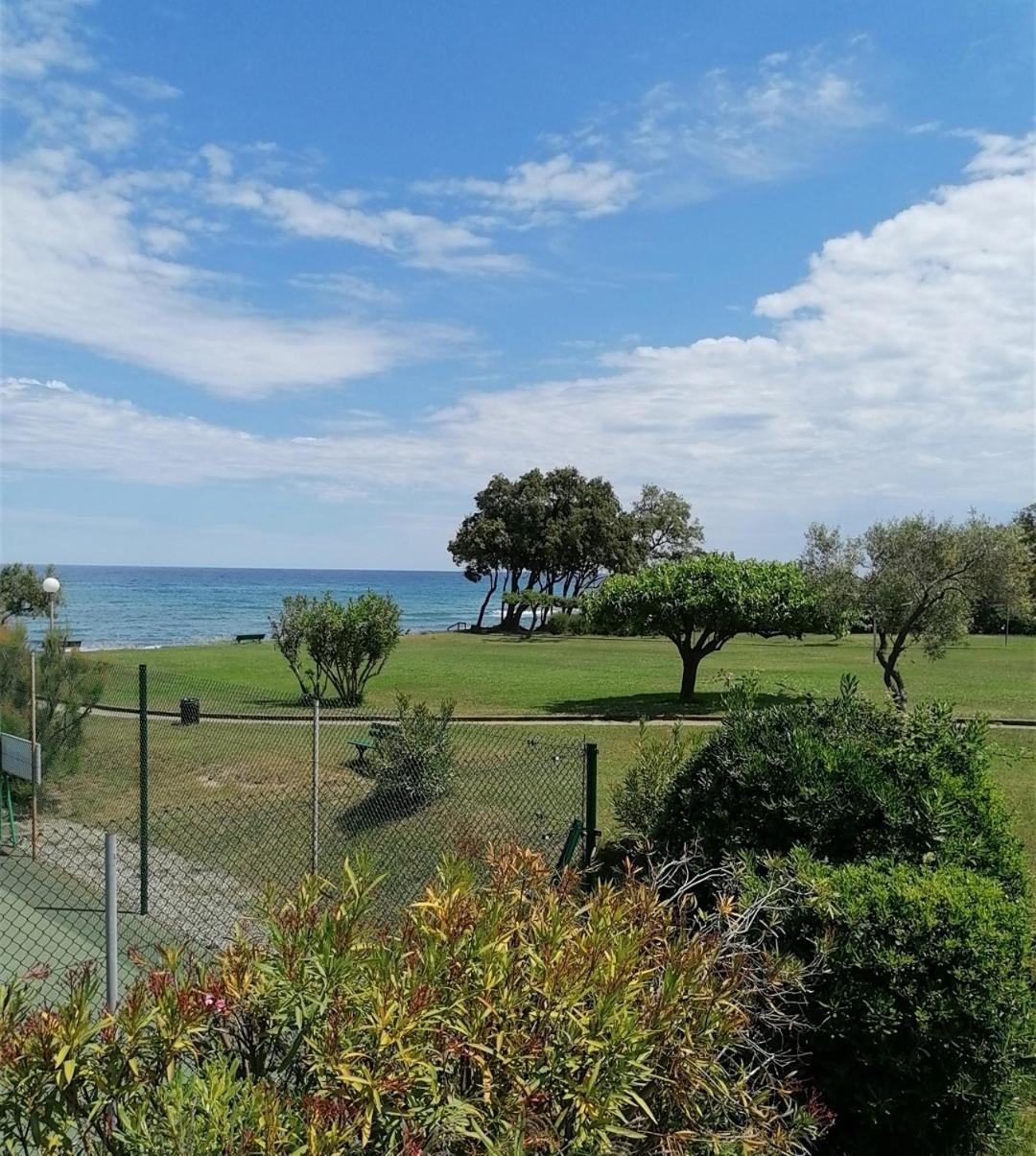 Studio 4 Personnes Bord De Mer Avec Piscine Wifi Cervione Εξωτερικό φωτογραφία